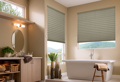 Pleated Shades and blinds